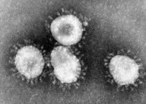 Read more about the article Coronavirus Threat Makes Near Pass In Ohio